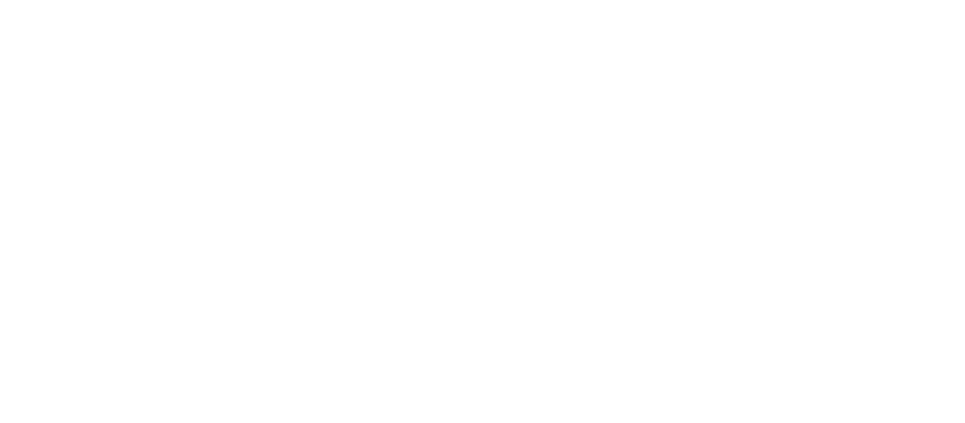 Logo Nolan Bernard